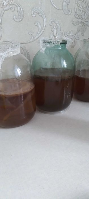 Чайный гриб  вкусный