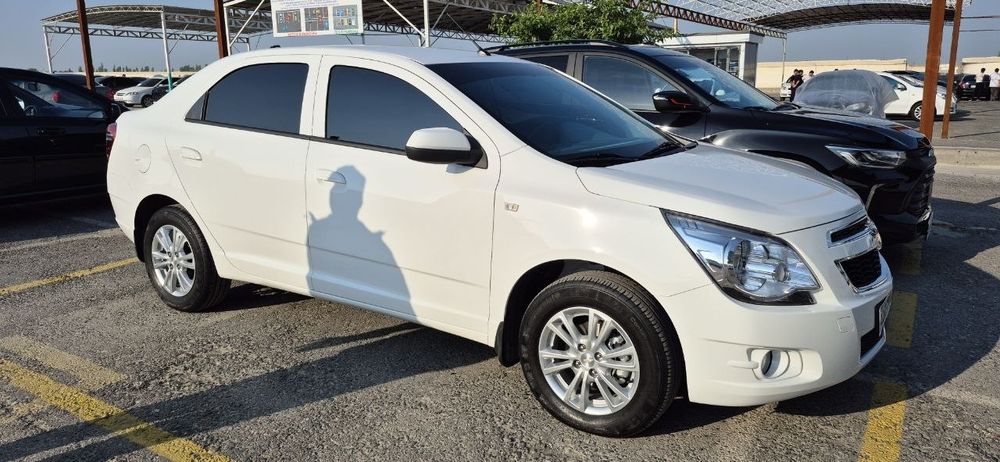 Other Cobalt 2026 — 3