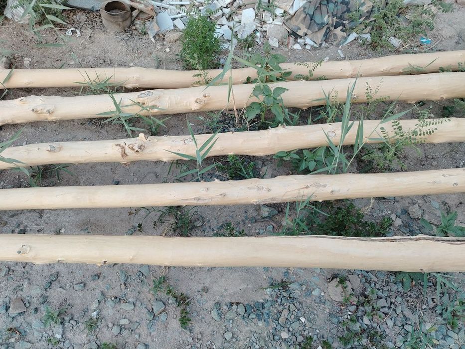 Сатылады алатынлар хаварлассын