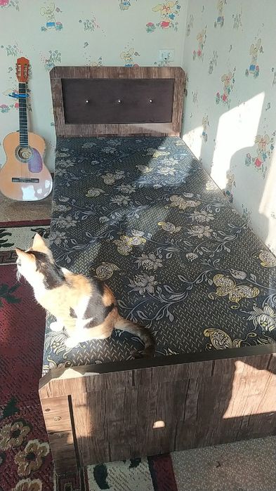 1 kishilik kattalar uchun mojjallangan