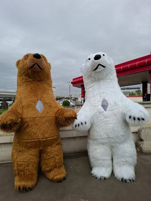 Ayiqlar sotiladi  | ayiq sotiladi | Айик сотилади