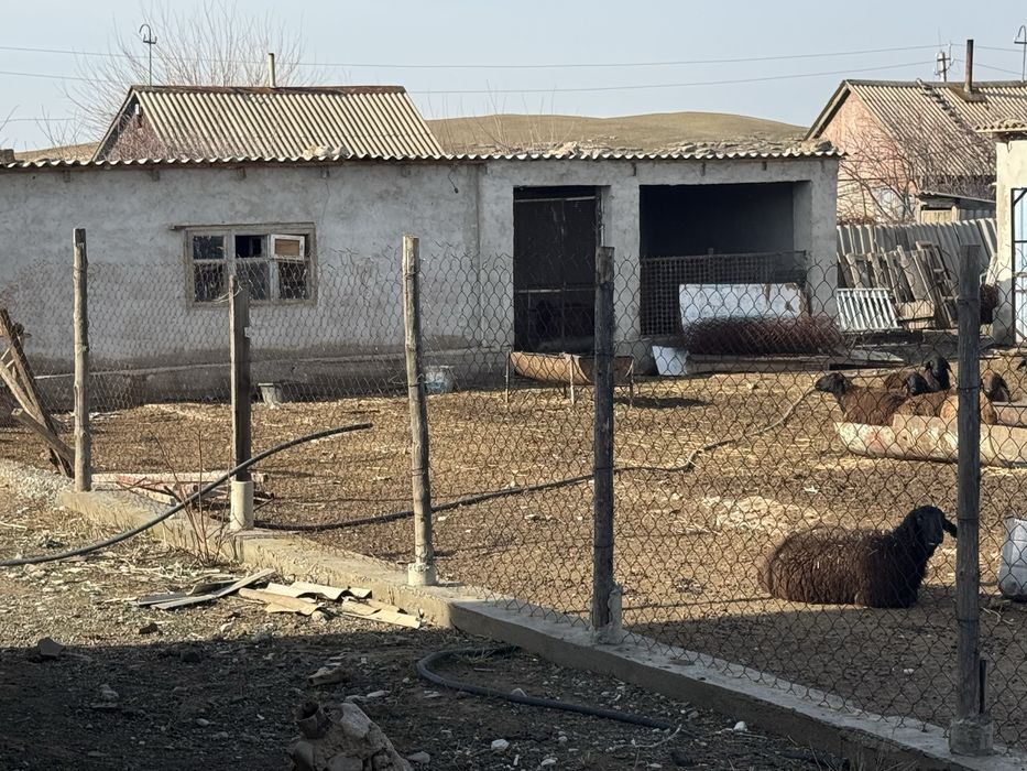 Дача сатылад мал корасымен су бар