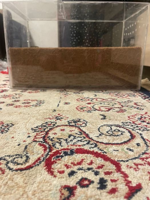 Террариум для рептилий