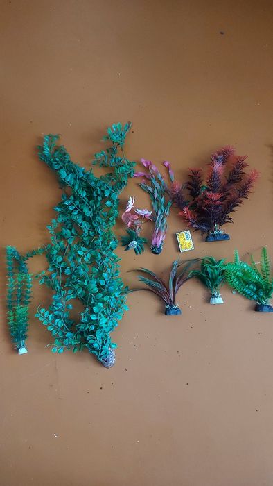 Аквариумное растения