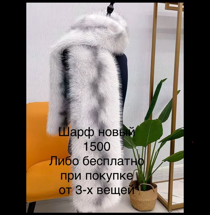 Шорты, рубашки, очки, пиджак, шарфы