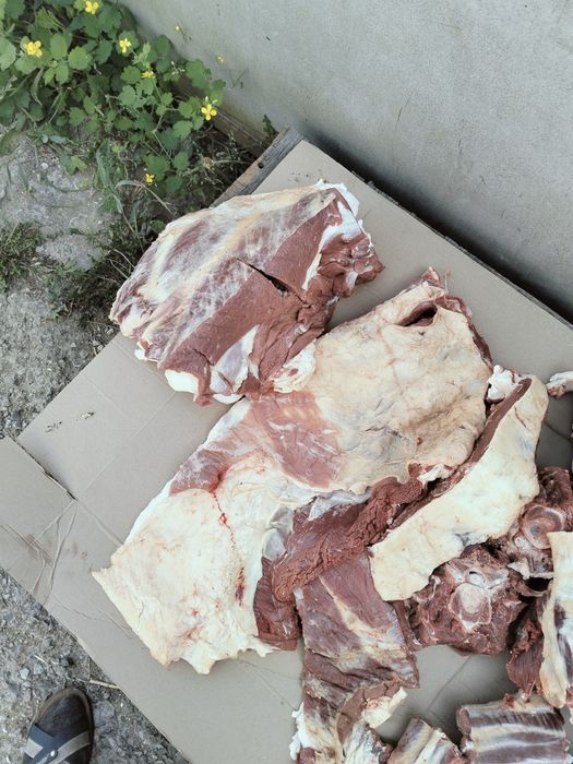 Продам мясо говядины 500000