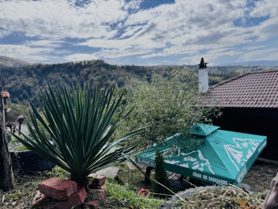 Продава се Къща в с. Черни Осъм, Област Ловеч - 62 кв.м за 1016 €/кв.м - Снимка #1