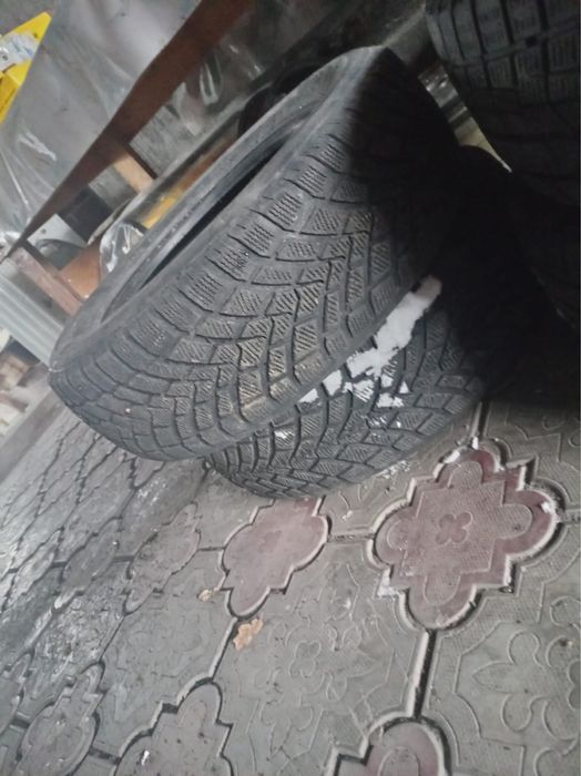 Зимние резины шины