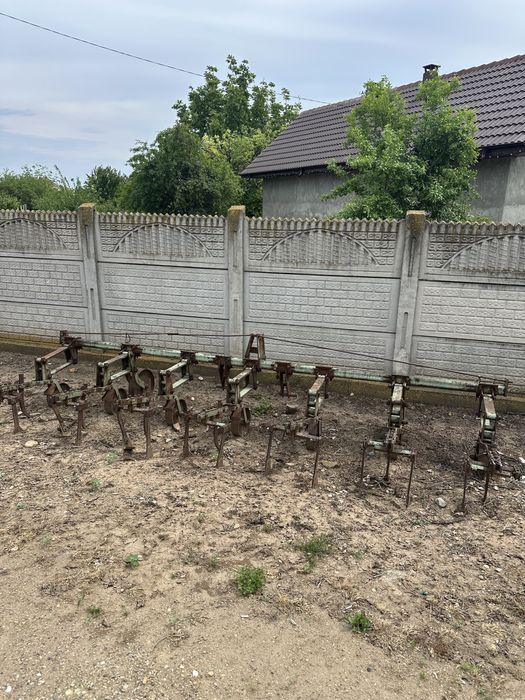 Prasitoare ………..