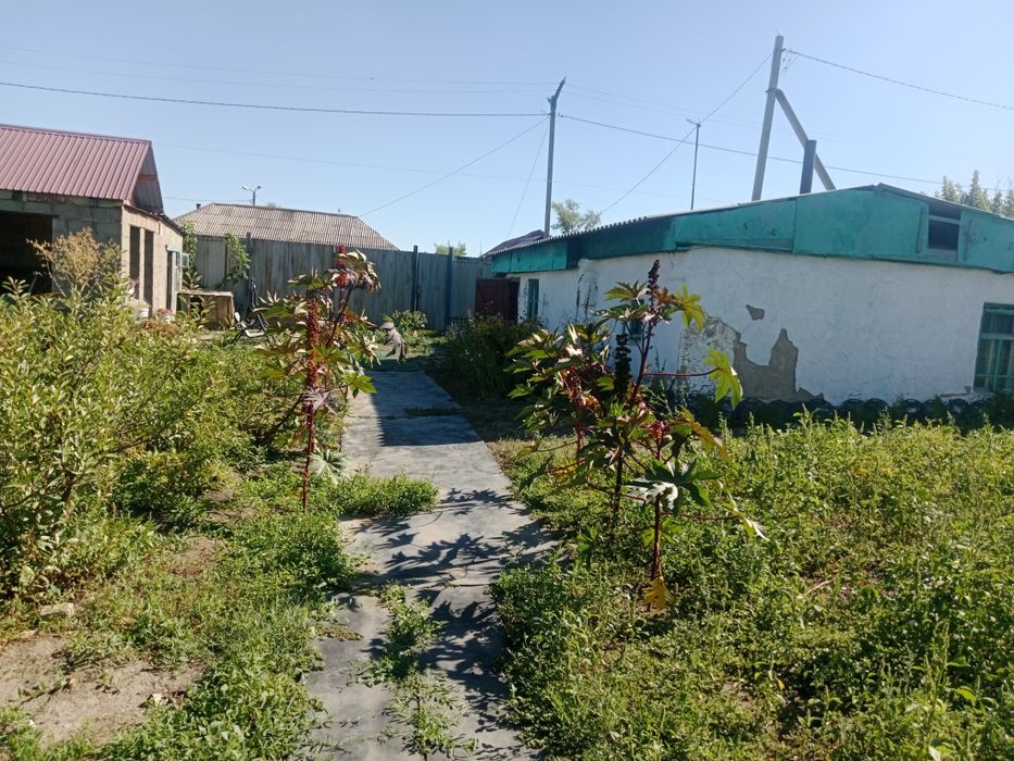 Продам дом срочно