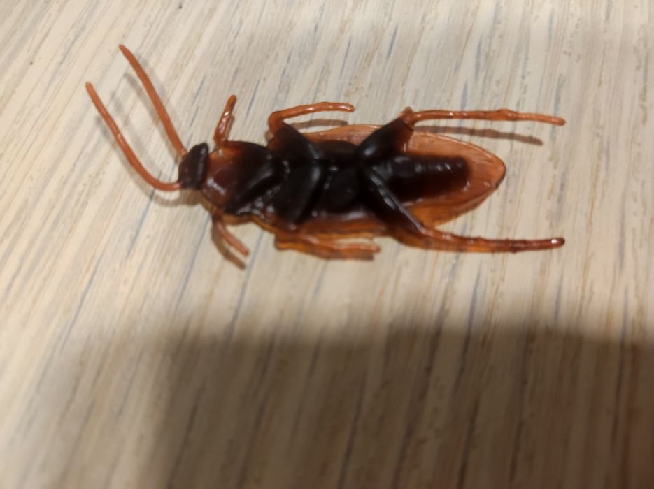 Тараканы пластиковые для розыгрыша