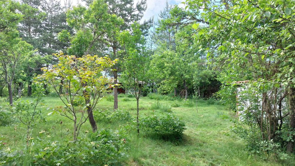 Продава се Къща в с. Егълница, Област Перник - 19 кв.м за 1053 €/кв.м - Снимка #6