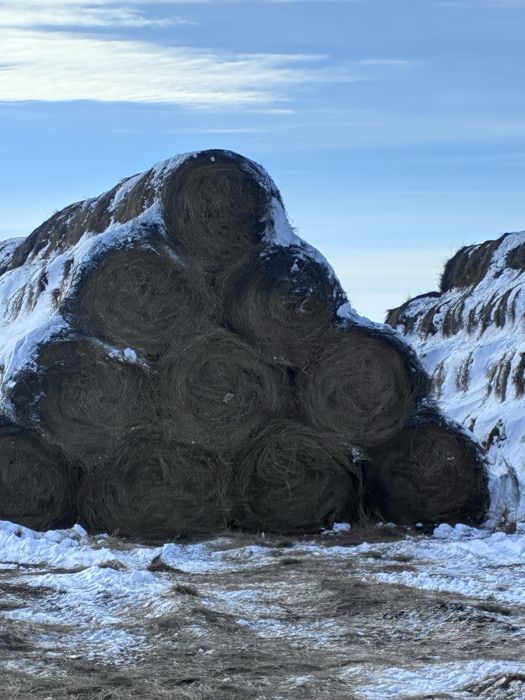 Продам сена рулон