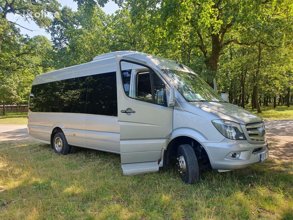 Vand Mercedes Sprinter  519 VIP