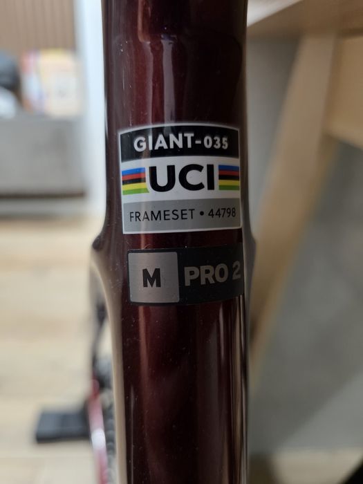 Giant Defy Advanced, 2025, carbon, M, 54