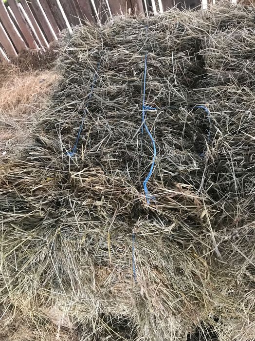 Vând baloți de fan