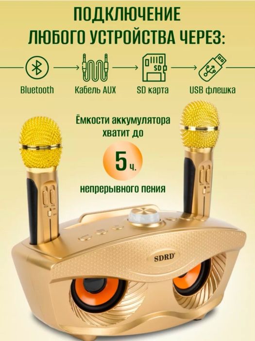 Беспроводная караоке система SDRD SD-306