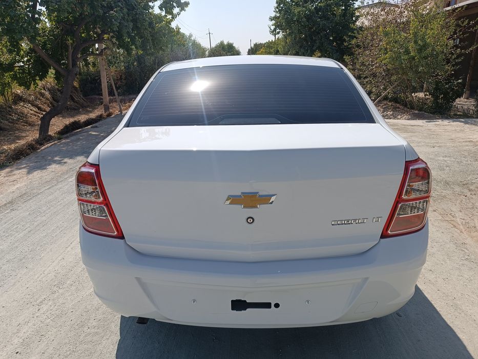 2019 йил 2-пазитция