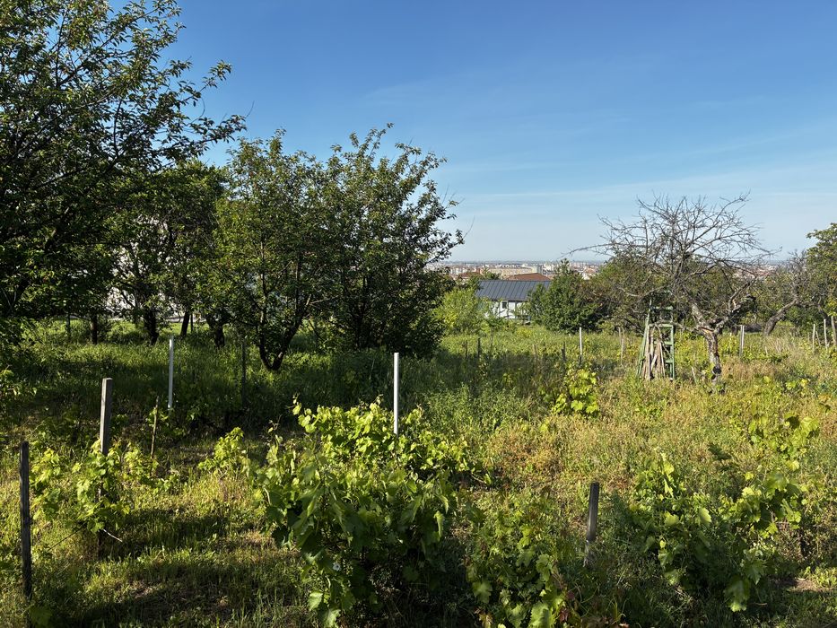 Defrișari ,  nivelari cu bobcat , intretinere spatii verzi