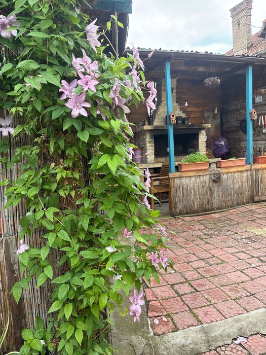 Casa de inchiriat