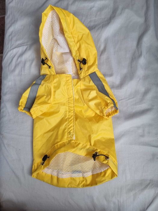 Яке за домашен любимец