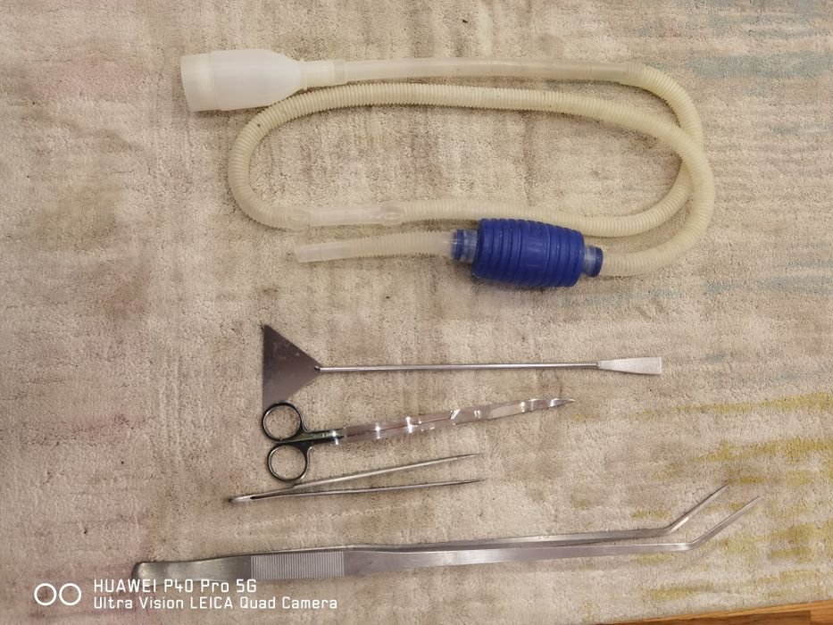 Всичко за аквариум