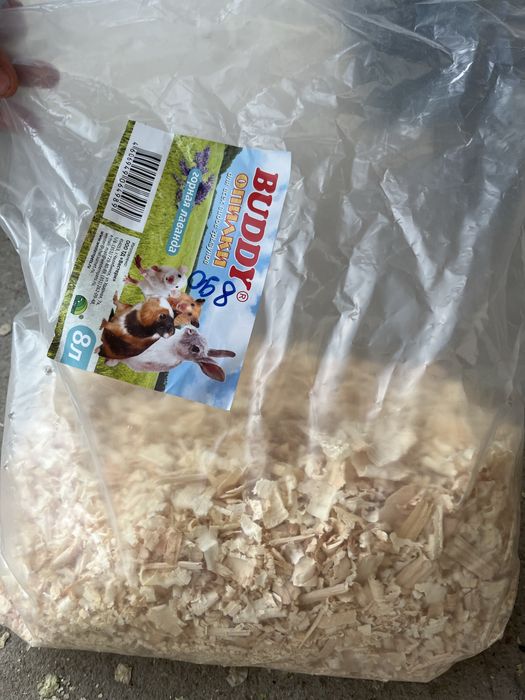 Белый хомяк девочка с клеткой