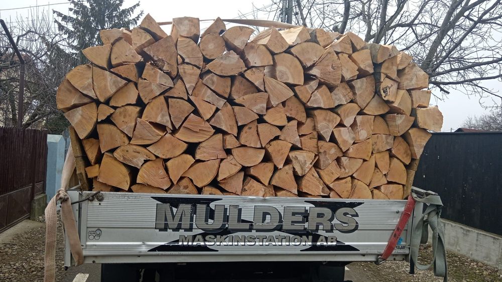 Ceuri de fag paletizate 350 paletu avem și crăpate din buștean avem și