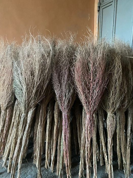 METLA kocha supirgi optim!!!