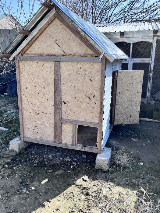 Тауық қора Сатылады