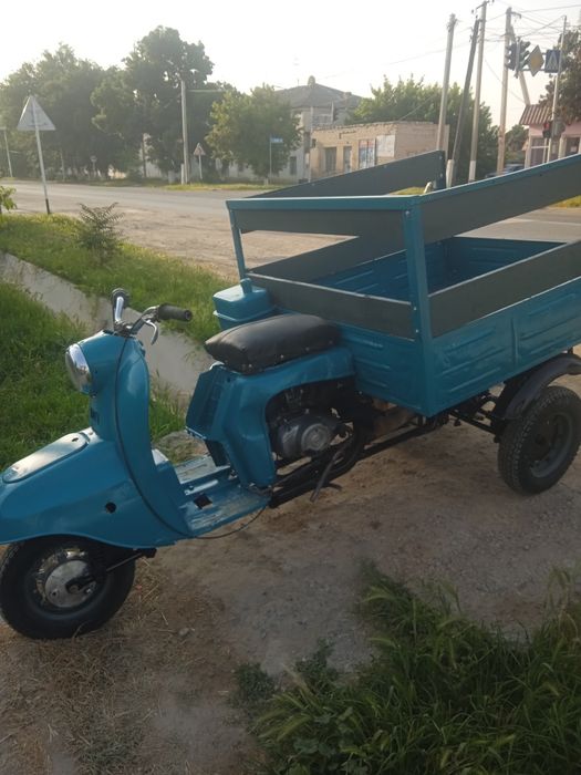 Муравей в отличном состоянии