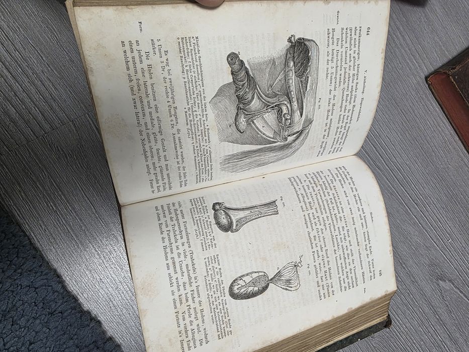 Cărți vechi anii 1800