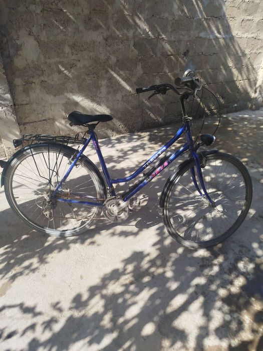 Велик сотилади Голландия