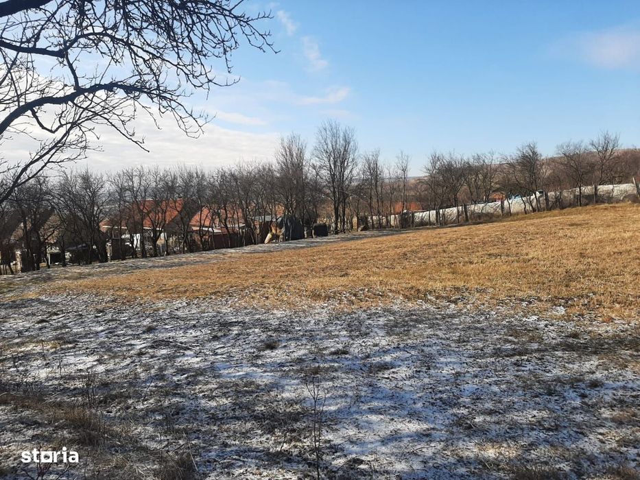 Teren de vanzare in Rediu