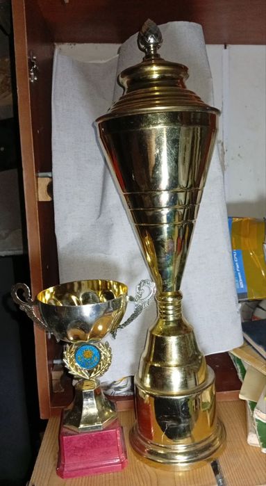 Кубок спортивный