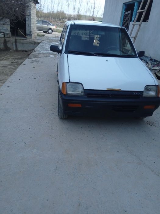 Tico xolati alo darajada