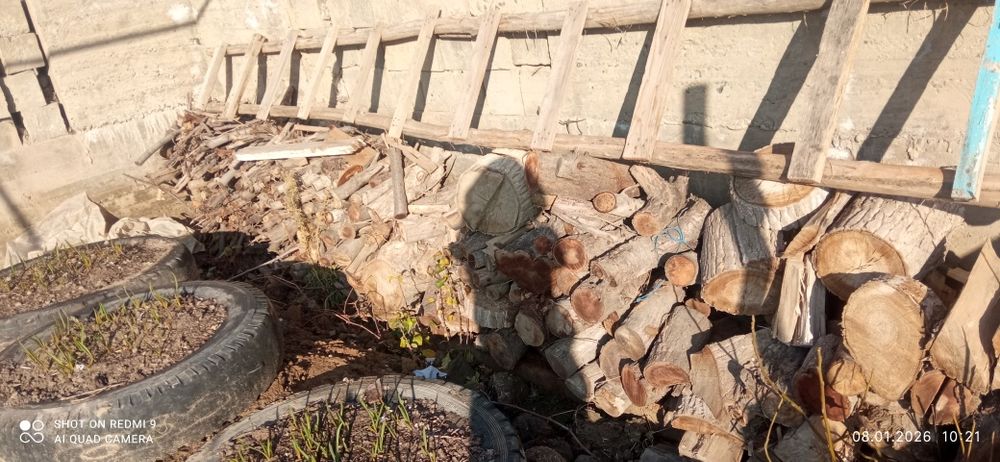 Shohlar bor sotiladi