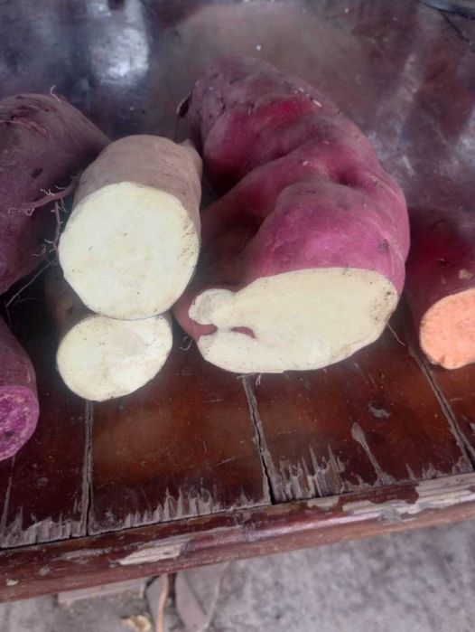 Cartofi dulci de vanzare