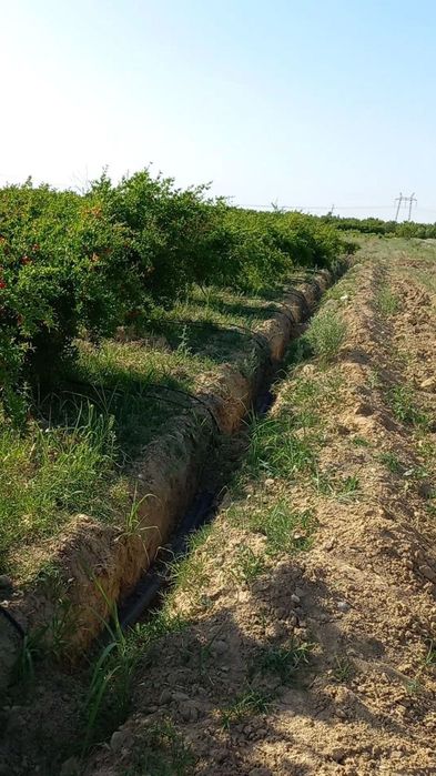 Мевали бог сотилади. .