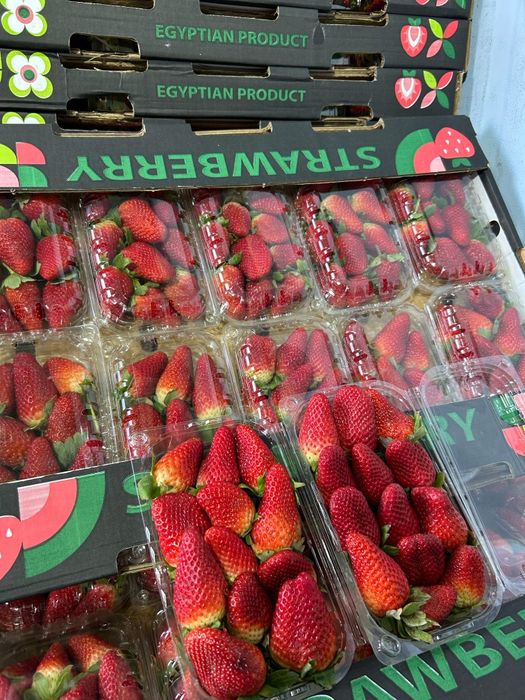 Египетская клубника