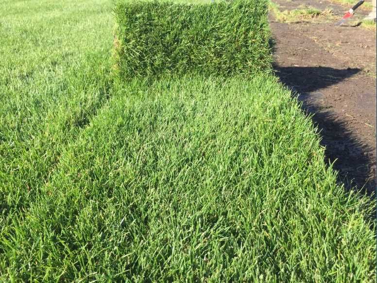 Gazon Natural cu Prindere 100% – Livrare și Execuție Imediată