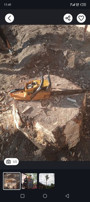 Дарахт кесиш хизмати обрезкас пил