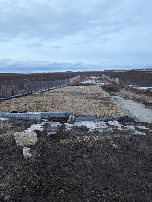 Teren Răchiți poligon
