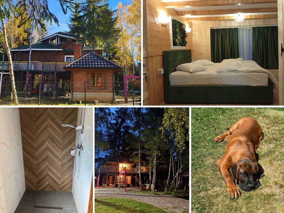 Rezerva weekend Cabana din Padure & Casuta din Copac – Belis - NOUTATE - LAC DE PESCUIT -TEREN DE SPORT