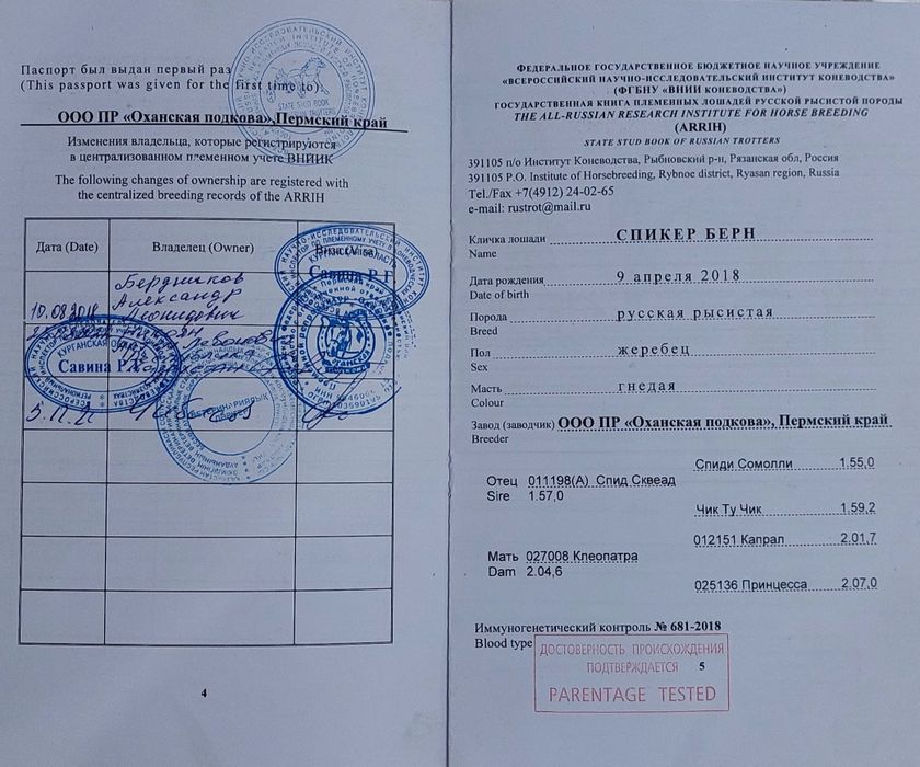 Продам жеребца иноходец