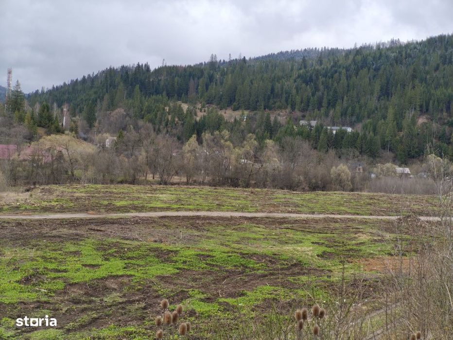Teren intravilan, 22600mp, zona Manastirea Sucevita