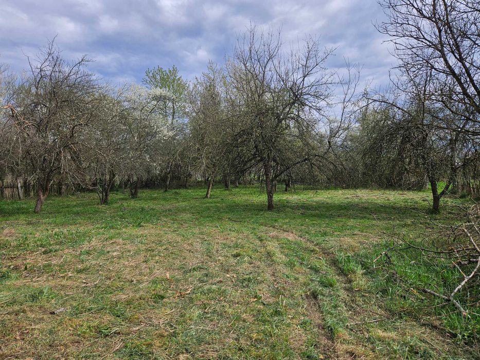 Casă Tradițională din Lemn de Stejar