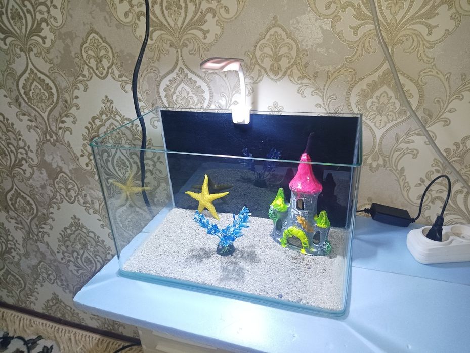 Xitoy quyma akvarium 15 litr komplekti