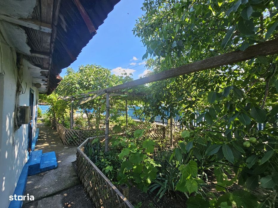 Proprietate exclusivistă în Murighiol -Casa de vacanta in DeltaDunarii