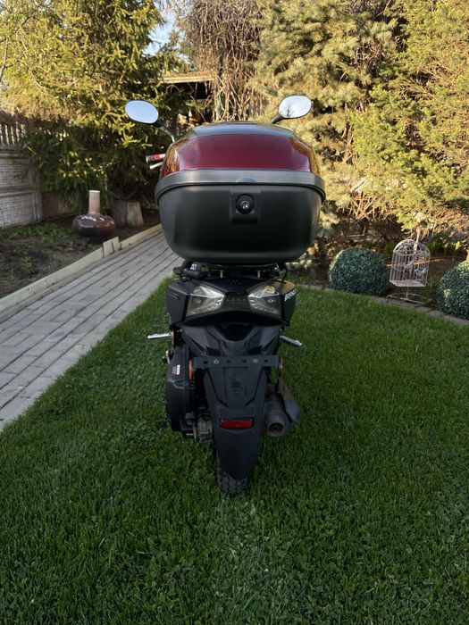 Скутер beetle  bolt